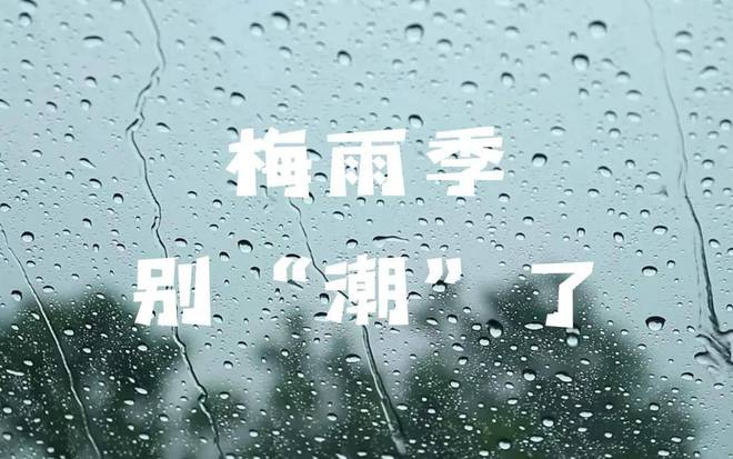 今日“入梅”：茶叶这样放才不会“发霉”！AG真人游戏平台2024年上海茶博会丨(图7)