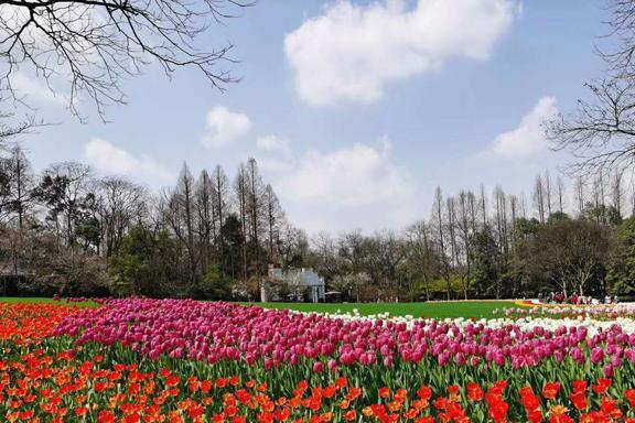 行地私藏着杭州最美春色4月来正适合AG真人游戏杭州这2个颜值颇高的旅(图3)