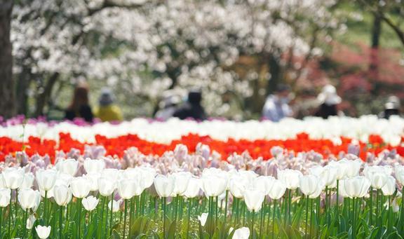 行地私藏着杭州最美春色4月来正适合AG真人游戏杭州这2个颜值颇高的旅(图2)